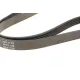 Ремінь генератора Peugeot 605 2.0 89-99/ Ford Fiesta1.8 95-03/ Honda Civic/ Fit/ Jazz 1.2-1.4 02-
