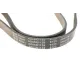 Ремінь генератора Peugeot 605 2.0 89-99/ Ford Fiesta1.8 95-03/ Honda Civic/ Fit/ Jazz 1.2-1.4 02-