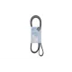 Ремінь генератора Opel Omega B 2.5DTI 01-03/Land Rover Range Rover 3.0D 02-12 (5PK2020)