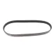 Ремінь генератора Subaru Forester/Impreza/Legacy/Outback 89- (5PK685)