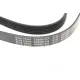 Ремінь генератора Hyundai i30/ Tucson/ ix20 1.4i-1.6 07-/ Kia Cee'd/Picanto/ Soul 1.0-1.6 06-