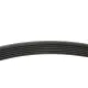 Ремінь генератора BLUE PRINT AD06R1460 6PK1460 для Ford Connect, Opel Combo, Honda Accord/Civic