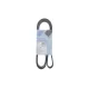 Ремінь генератора BLUE PRINT AD06R1669 6PK1669 для Fiat Ducato 2.2D, Ford Transit 2.2TDCI, Jaguar XF 2.2D