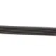 Ремінь генератора BLUE PRINT AD06R2060 6PK2060 для Mercedes-Benz OM606, Kia Carnival, Opel Antara 2060 мм