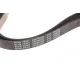 Ремінь генератора Hyundai Santa Fe 12-15/ Jeep Patriot 2.4 08-