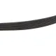 Ремінь генератора Honda Accord/CR-V 2.2 i-CTDi 04- (7PK1785)