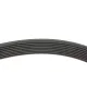 Ремінь генератора BLUE PRINT AD08R1225 для Mazda 3/5/6 2.0 DI/CD 2002-2010, 8PK1225