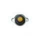 Кришка радіатора Renault Koleos 08-/Toyota Corolla/Mazda 323/Mitsubishi Lancer 84- (0.9bar)