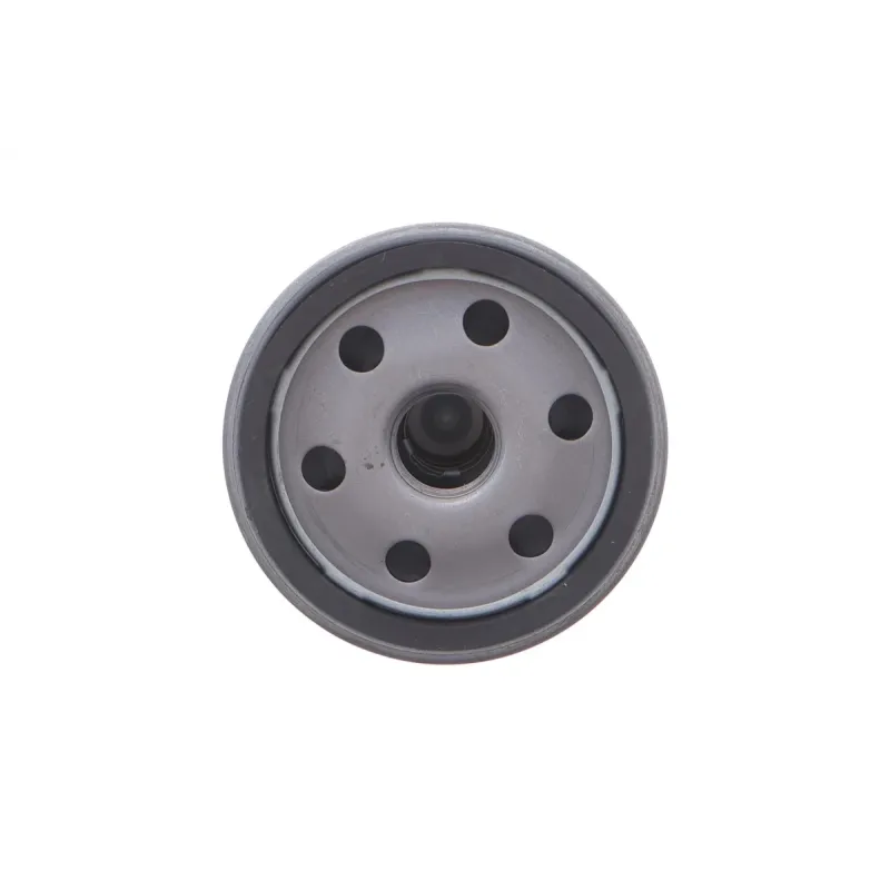Фільтр масляний BLUE PRINT ADJ132117 для Land Rover Defender TD5, Discovery TD5 (h=109mm)