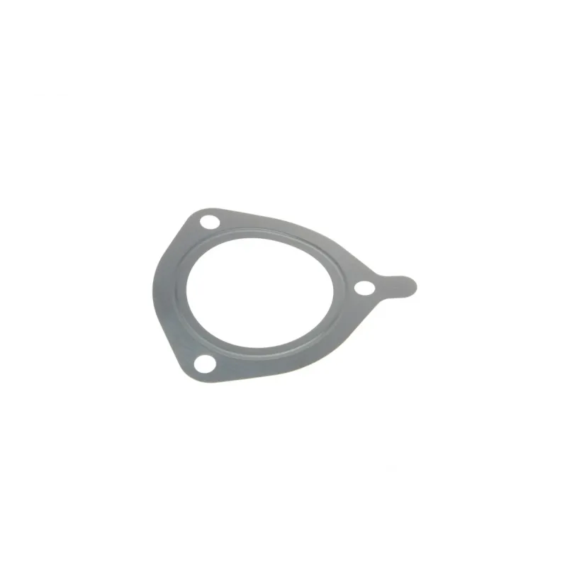 Прокладка ТНВД BMW 3 (E90-E93)/X3 (E83)/X5 (E53/E70) 96-11 M47/M57