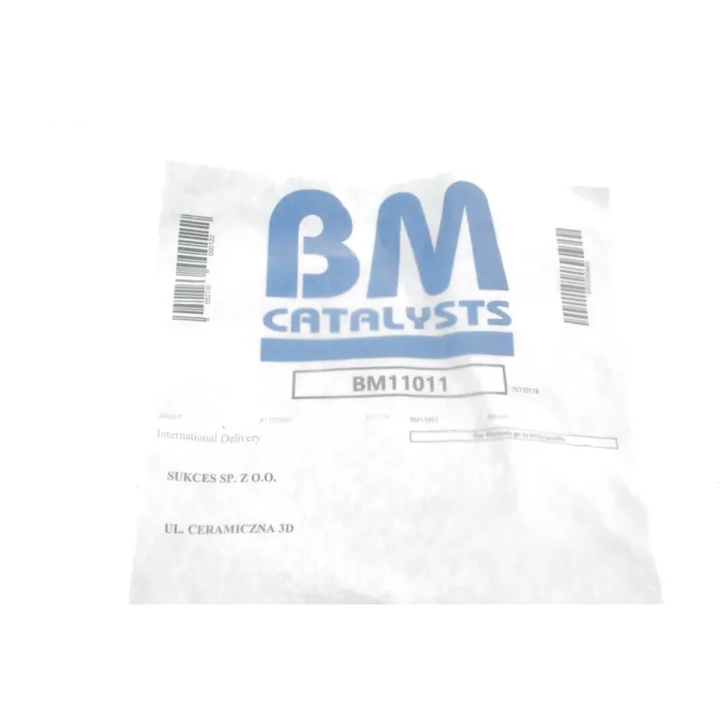 Фільтр сажевий Citroen C5/Peugeot 407 2.0 HDi 04- (Euro 4)