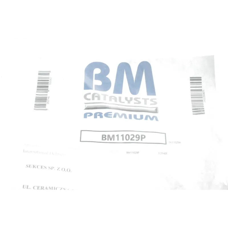Фільтр сажевий BM CATALYSTS BM11029P для Volkswagen Crafter 2.5 TDI 2006-2013 (Euro 4)