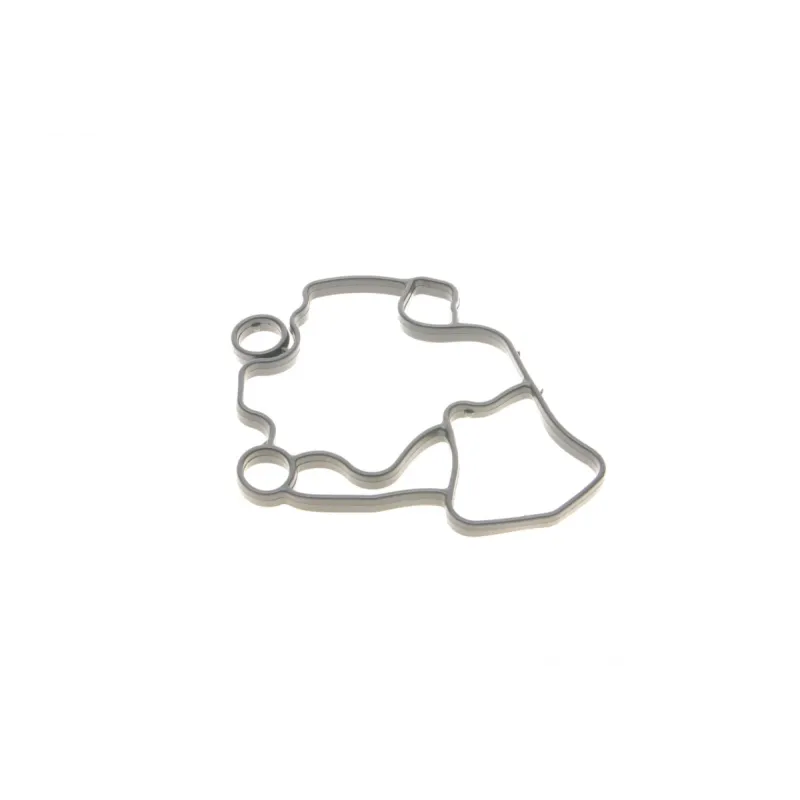 Прокладка корпуса фільтра масляного Audi A4/A6 2.0TFSI/VW Golf V 2.0 06-