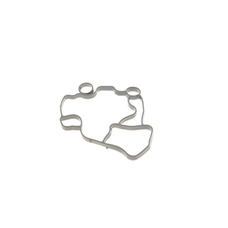 Прокладка корпуса фільтра масляного Audi A4/A6 2.0TFSI/VW Golf V 2.0 06-