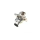 Термостат BOGAP B4245106 для BMW 5 (E39) 7 (E38) X5 (E53) M62 1996-2003