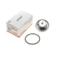 Термостат BOGAP B4245116 для BMW 3 (E30/E36) 1.6-2.8 1988-1999