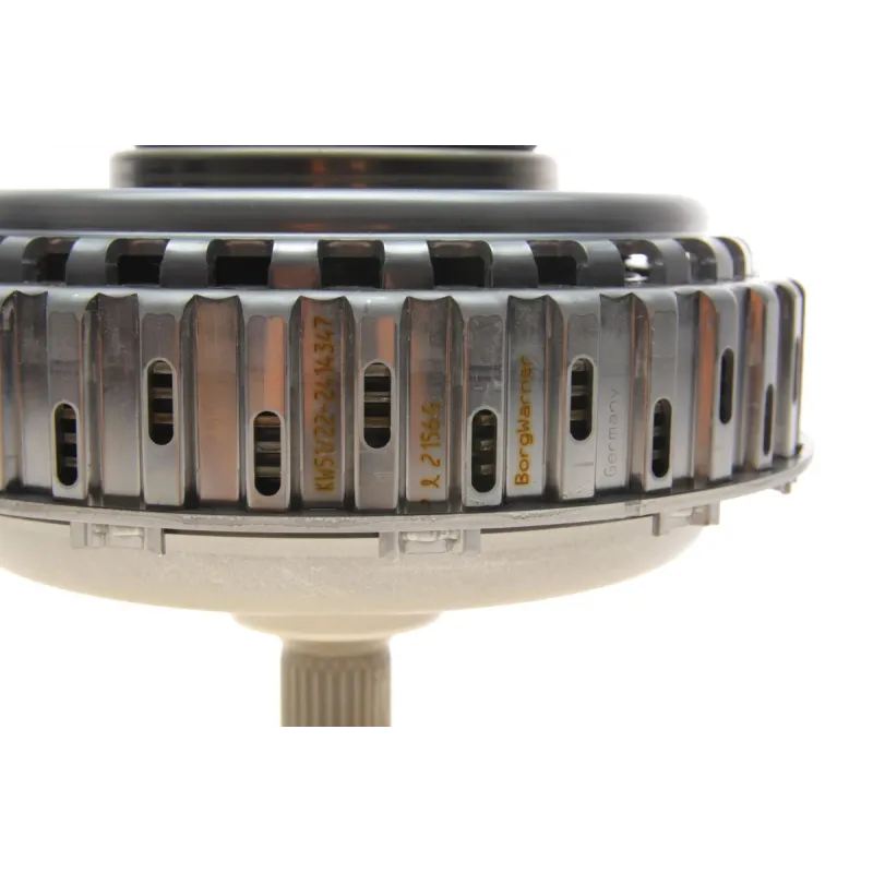 Комплект зчеплення BORGWARNER 202156 для DSG 7-ступінчастої (DL501 G) 580 Нм