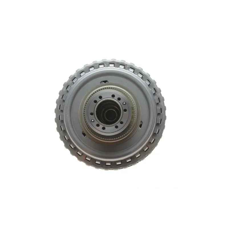 Комплект зчеплення BORGWARNER 202156 для DSG 7-ступінчастої (DL501 G) 580 Нм