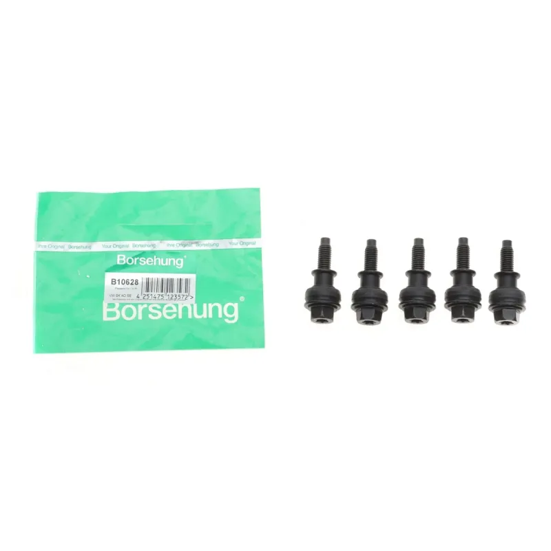 Болт кришки ГРМ VW Golf V/VI/Passat B6/B7 1.8/2.0 TFSI 04-16 (к-кт 5шт)