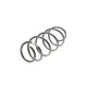 Пружина передньої підвіски BORSEHUNG B12559 для VW Polo, Skoda Fabia 2006-2014 (OE VAG 6Q0411105AF)