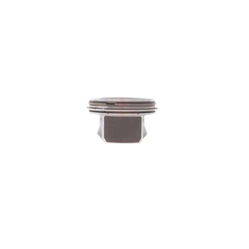 Поршень BORSEHUNG B13576 для Volkswagen Jetta/Polo 1.6 2010-2022 (76.50mm/STD) комплект 4шт.