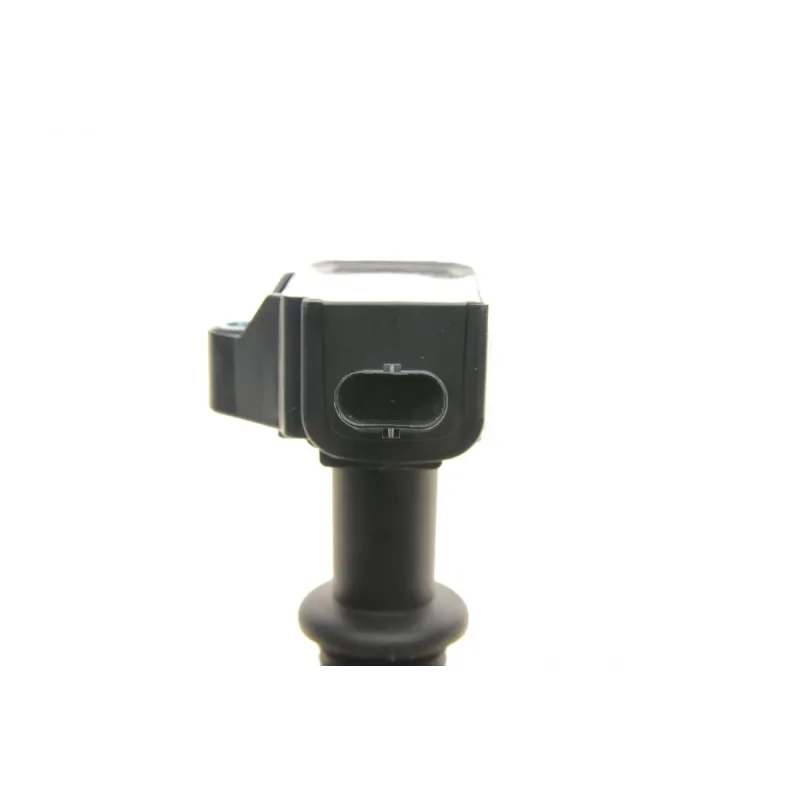 Котушка запалювання Jaguar XF I/XJ/XK II/Land Rover Discovery IV/Range Rover III 5.0 (508PS/PN) (14V)