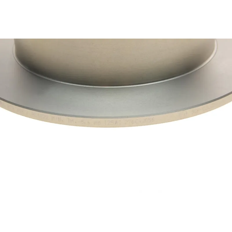 Диск гальмівний (задній) Mitsubishi Outlander 06-/Lancer 03- Citroen C-Crosser 06- (302x10)