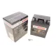Акумулятор AGM BOSCH 0 986 FA1 250 12Ah/210A (133x164x90) для мотоциклів Honda