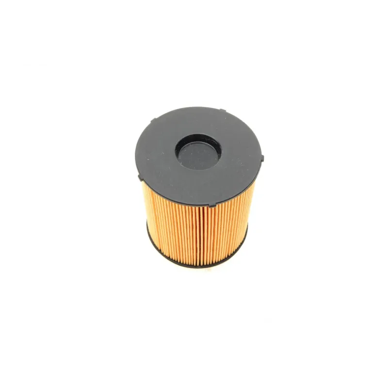 Фільтр паливний BOSCH 1 457 431 704 для Mercedes-Benz C-Class W202/W203, E-Class W210, M-Class W163 1997-2007