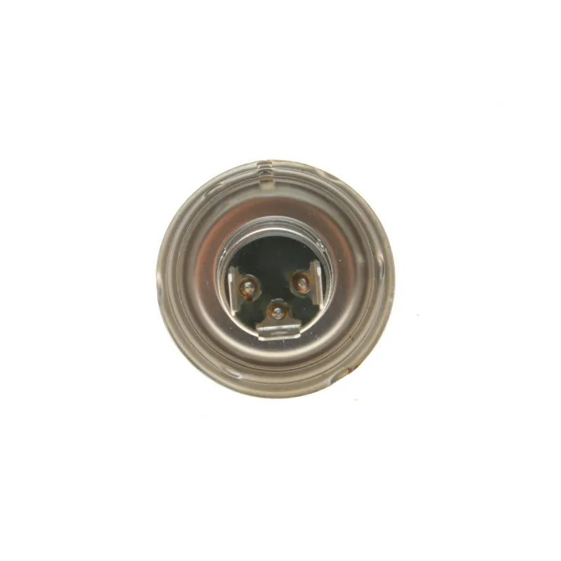 Автолампа BOSCH 1 987 302 021 R2 12V 45/40W P45t Pure Light для Alfa Romeo 33, Austin Mini, Citroen AX