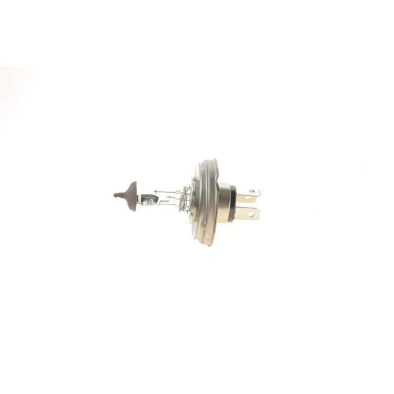 Автолампа BOSCH 1 987 302 021 R2 12V 45/40W P45t Pure Light для Alfa Romeo 33, Austin Mini, Citroen AX