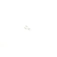 Купити Автолампа 12V 2W W2.1x9.5d | KovelAutoHub