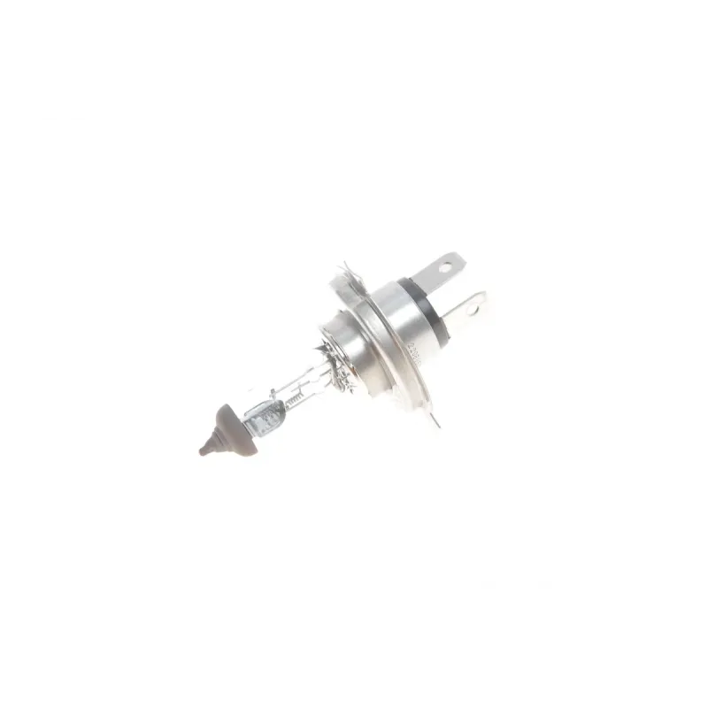 Автолампа BOSCH H4 24V 75/70W P43t 1 987 302 441 для DAF 45, 95 XF, CF