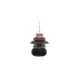 Автолампа HIR2 12V 55W PX22d Eco