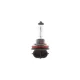 Автолампа BOSCH H11 24V 70W PGJ19-2 ECO Truck/BASIC TRUCK 1 987 302 876