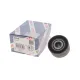 Ролик генератора Fiat Scudo 1.6D Multijet 07- (паразитний) (60х30)