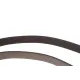 Комплект ременя генератора Renault Megane/Scenic 1.9 dCi/2.0 16V 03- (7PK1125)