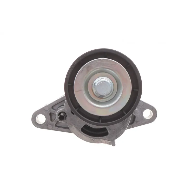 Комплект ременя генератора BOSCH 1 987 600 719 для Renault Megane Scenic 1.4-2.0 1999-2009 (5PK1750)