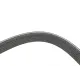 Ремінь генератора Citroen Berlingo/Peugeot Partner 1.6VTi 09- (6PK905)