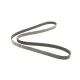Ремінь генератора BOSCH 1 987 946 002 для Ford Escort 1.6-2.0 1991-2000 (6PK1650)