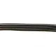 Ремінь генератора BOSCH 1 987 946 006 для Peugeot Partner, VW Caddy 1.8/1.4/1.6, 751 мм, 6 ребер