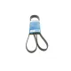 Ремінь генератора BOSCH 1 987 946 022 для VW Passat B5 1.9 TDI 1996-2000, Audi A4 B5 1.9 TDI 1995-2001, 5PK1592