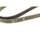 Ремінь генератора BOSCH 1 987 946 080 для Opel Frontera B 2.2 1998-2004, 6PK1850