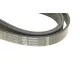 Ремінь генератора BOSCH 1 987 946 105 для Mercedes-Benz C-Class W202, E-Class W210 2.0-2.7CDI, 6PK2245