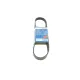 Ремінь генератора BOSCH 1 987 946 126 для Ford Transit 2.0Di/TDCi 2000-2006, 6PK831