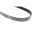 Ремінь генератора Ford C-Max/ Focus/ Volvo S40 1.8-2.0 06-12 (5PK705)