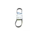 Ремінь генератора BOSCH 1 987 946 247 для Opel Movano, VW Crafter 6PK841