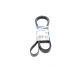 Ремінь генератора Land Rover Discovery III 4.4 04-13/Cadillac Escalade 6.0 01-06 (6PK2345)