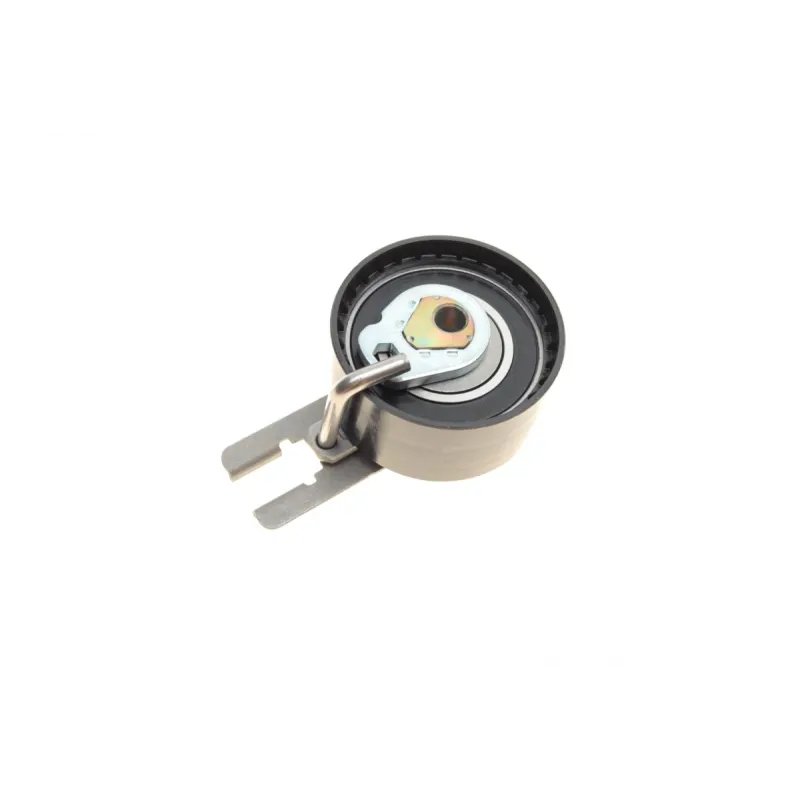 Комплект ГРМ Citroen Nemo/C1/C2/C3/Xsara/Peugeot 107/1007/206/307/Bipper 1.4HDI 08- (25x144z)