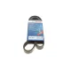 Ремінь генератора Man TGA/TGS/TGX/MB LK/LN2 OM366 84- (8PK1655)